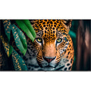Newline STV-7524 75" UHD 4K Commercial Monitor