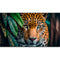 Newline STV-7524 75" UHD 4K Commercial Monitor
