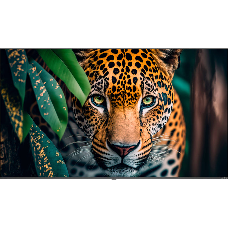 Newline STV-7524 75" UHD 4K Commercial Monitor