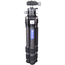 ARTCISE CS25C Mini Carbon Fiber Tripod with Ball Head