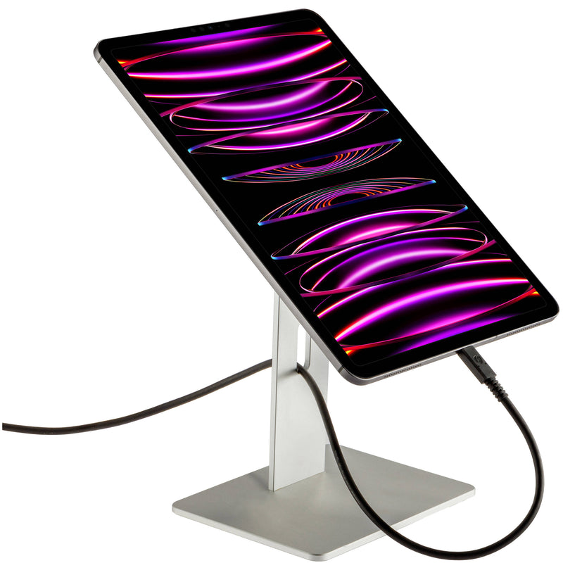 Gabor 12.9" Magnetic Tablet Stand