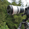 Bioluminous Front Lens Cap Canon RF 600mm f/4 L IS USM Lens (Black)