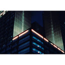 Reflx Lab 800 Tungsten-Balenced Color Negative Film (35mm Roll Film, 36 Exposures)