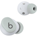 Beats by Dr. Dre Solo Buds (Storm Gray)