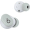 Beats by Dr. Dre Solo Buds (Storm Gray)