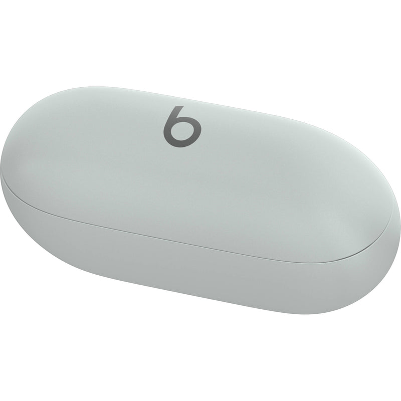 Beats by Dr. Dre Solo Buds (Storm Gray)