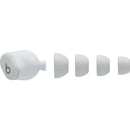 Beats by Dr. Dre Solo Buds (Storm Gray)