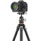 Vanguard VEO 5 234A Aluminum Tripod with BH-110S Ball Head