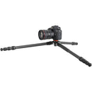 Vanguard VEO 5 234C Carbon Fiber Tripod with PH-36S Pan/Tilt Head