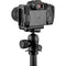3 Legged Thing Riley Dedicated L-bracket for Canon R7 (Black)
