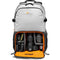 Lowepro Truckee BP 250 LX Camera Backpack (Gray, 18L)