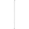 Wiremold Products 30TC Series Steel Pole (White, 15')