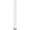 Wiremold Products 30TC Series Steel Pole (White, 15')