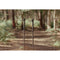 3 Legged Thing Alana Carbon Fiber Monopod Super Kit with Video Head and DocZ2 Foot (Darkness)