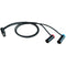 Cable Techniques Low-Profile Y-Cable TA5F to Canon EOS Cinema Cameras (15")