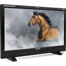 Flanders Scientific DM231 23.8" Wide-Gamut LCD Professional Monitor