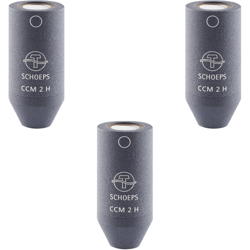 Schoeps CCM 2H LG MT