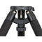 ZWO Carbon Fiber Tripod