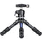Leofoto LS-223CEX X Ranger Carbon Fiber Table Tripod with Leveling Base & LH-25 Mini Ball Head