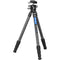 Leofoto LS-254CX Carbon Fiber Tripod with LH-36LR Ball Head