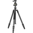 Vanguard Vesta GO 234CB Carbon Fiber Tripod with VEO BH-50 Ball Head