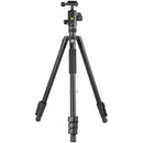 Vanguard Vesta GO 264AB Aluminum Tripod with VEO BH-60 Ball Head