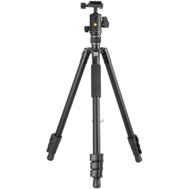 Vanguard Vesta GO 264AB Aluminum Tripod with VEO BH-60 Ball Head