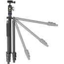 Vanguard Vesta GO 204AB Aluminum Tripod with VEO BH-45 Ball Head