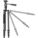 Vanguard Vesta GO 204CP Carbon Fiber Tripod with VEO PH-24 Pan Head