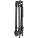 Vanguard Vesta GO 204CP Carbon Fiber Tripod with VEO PH-24 Pan Head