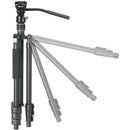 Vanguard Vesta GO 234AV10 Aluminum Tripod with VEO PV-10 Video Head