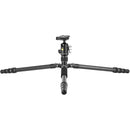 Vanguard Vesta GO 234CB Carbon Fiber Tripod with VEO BH-50 Ball Head