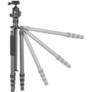 Vanguard Vesta GO 234CB Carbon Fiber Tripod with VEO BH-50 Ball Head