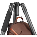 Vanguard Vesta GO 234CB Carbon Fiber Tripod with VEO BH-50 Ball Head