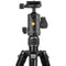 Vanguard Vesta GO 264AB Aluminum Tripod with VEO BH-60 Ball Head