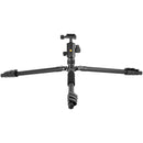 Vanguard Vesta GO 264AB Aluminum Tripod with VEO BH-60 Ball Head