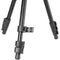 Vanguard Vesta GO 264AB Aluminum Tripod with VEO BH-60 Ball Head