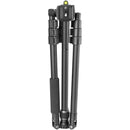 Vanguard Vesta GO 264AP Aluminum Tripod with VEO PH-24 Pan Head