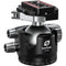 Leofoto LH-55LR Ball Head with LR-70 Lever-Release Clamp (Black)