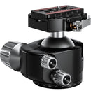 Leofoto LH-55LR Ball Head with LR-70 Lever-Release Clamp (Black)