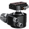Leofoto LH-55LR Ball Head with LR-70 Lever-Release Clamp (Black)