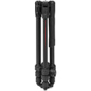 Manfrotto Befree Advanced AS Aluminum Travel Tripod with 494 Center Ball Head