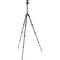 Manfrotto Befree Advanced AS Carbon Fiber Travel Tripod with 494 Center Ball Head