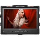 Desview 23.8" Director Monitor with Protector Case