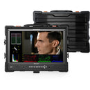 Desview 23.8" Director Monitor with Protector Case