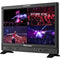 Desview 23.8" Director Monitor with Protector Case