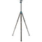 Benro MiniBird 3-Section Carbon Fiber Tripod with N00P Ball Head