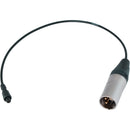 Radius RAD Mount 275mm Schoeps Lemo to XLR-3M Cable for RAD-01060