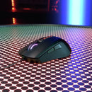 CHERRY MC 2.1 Mouse