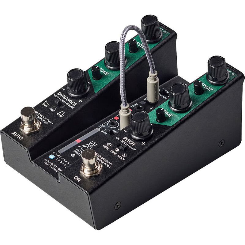 GAMECHANGER AUDIO Auto Series Modular Auto Delay Pedal